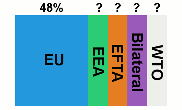 EU referendum options